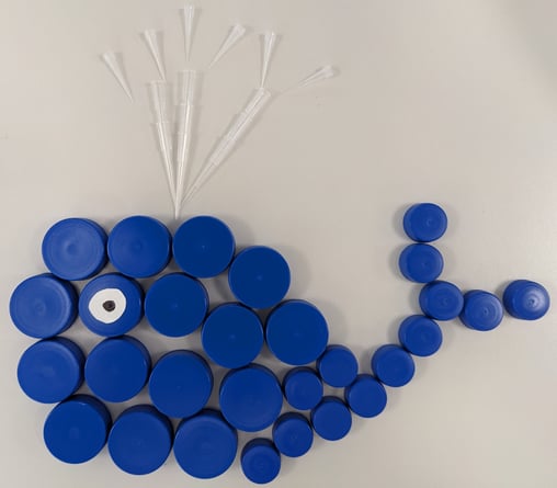 Blog picture - whale