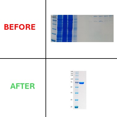 Casestudy figure