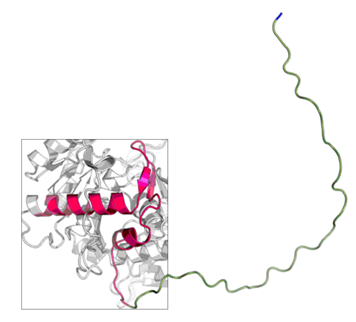 Construct Design Figure 1