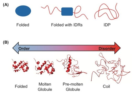Figure-1-The-Spectrum-Of-Protein-Structure