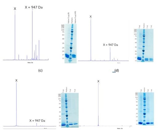 Figure-2-Reengineering-the-construct