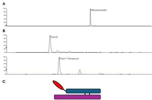 Figure-3-Reduced-Mass-spec-of-chains