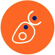 ICON-Protein-Expression-and-Protein-Purification-2