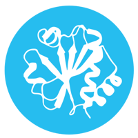 Protein Crystallography and Structure Determination ICON.ai-2