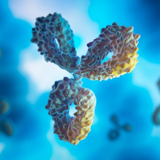 antibody