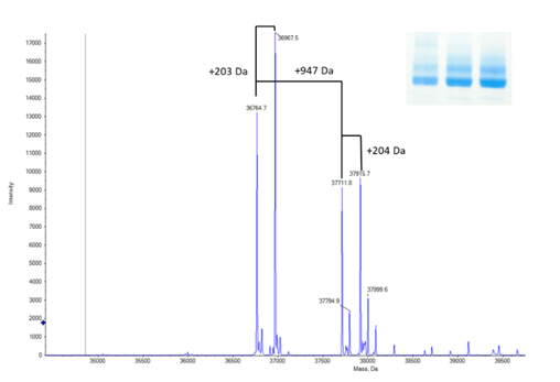 mass spec newsletter