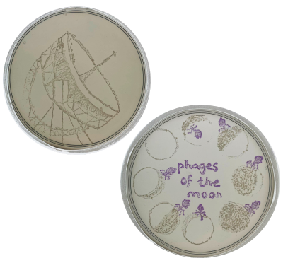 plate newsletter